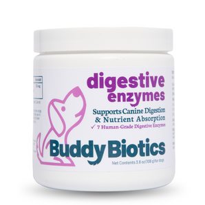 Digestive Enzymes