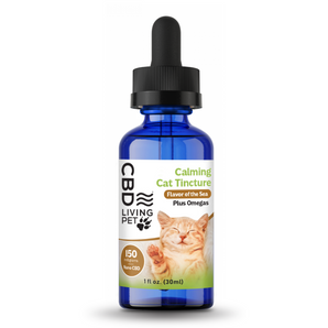 CBD Cat Tincture