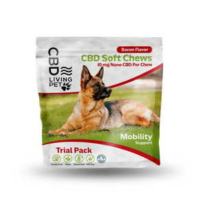 CBD Dog Mobility Support Chews