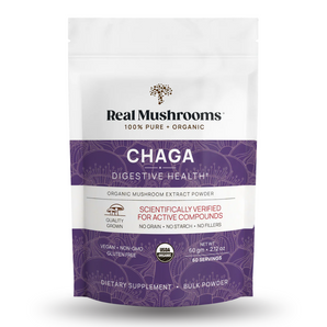 Organic Chaga Extract Powder