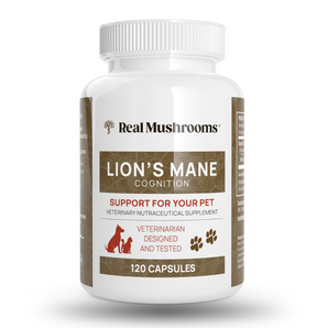 Organic Lions Mane Extract Capsules for Pets