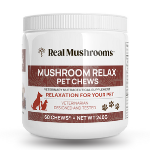 Mushroom Relax Pet Chews