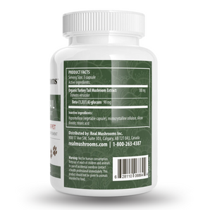 Turkey Tail Extract Capsules for Pets