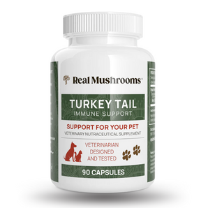 Turkey Tail Extract Capsules for Pets